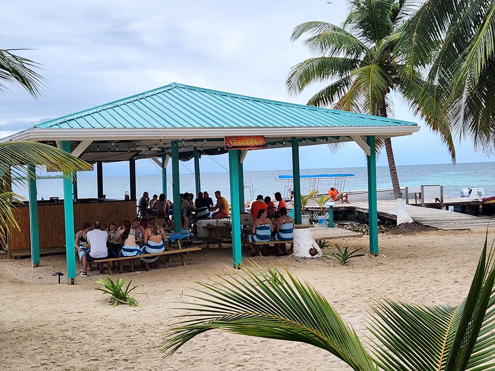 A beachside pavilion filled with people enjoying a gathering under palm trees.