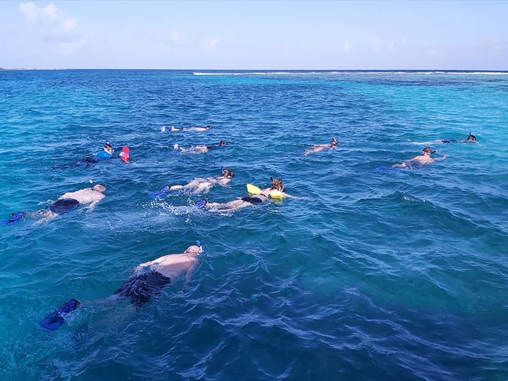 A group of snorkelers swimming in clear blue water.