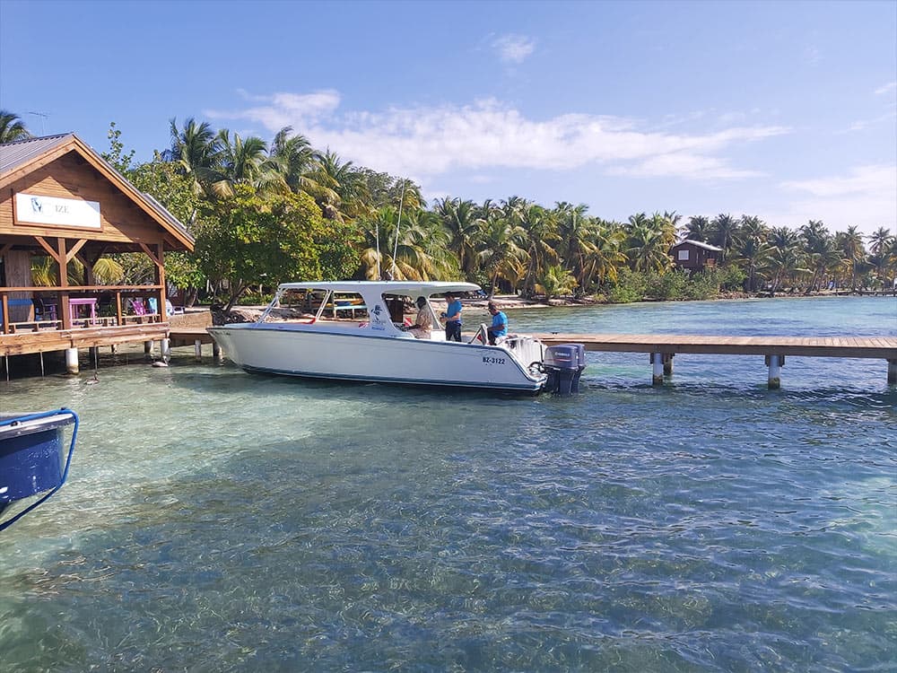 A white boat is docked at a wooden pier surrounded by palm trees and clear water.