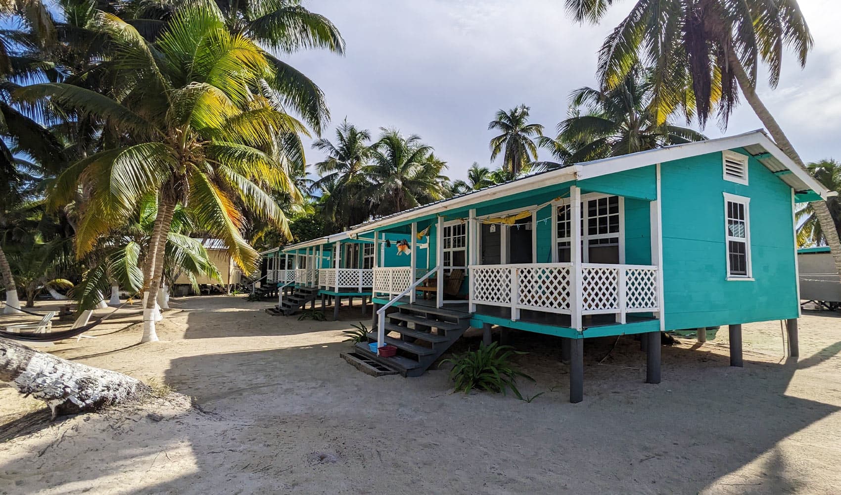 Colorful beach cabins surrounded by palm trees on a sandy shore.