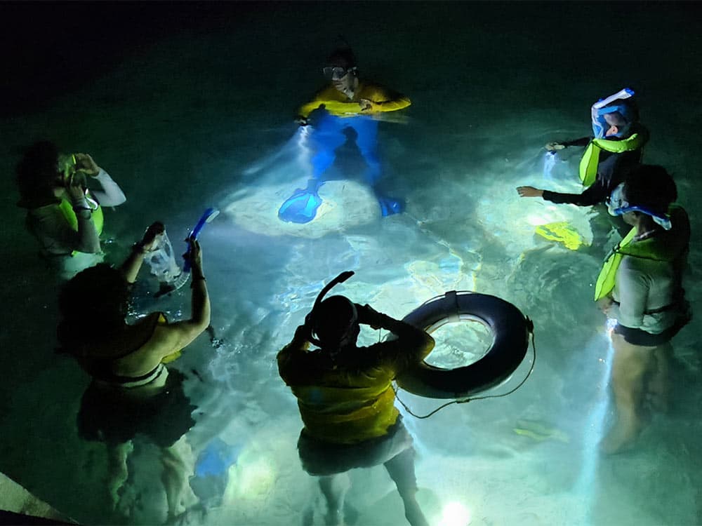 A group of people in snorkeling gear exploring a lit area underwater at night.