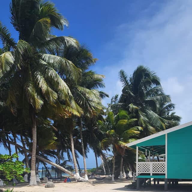 A scenic view of palm trees swaying beside a turquoise beach house under a blue sky.