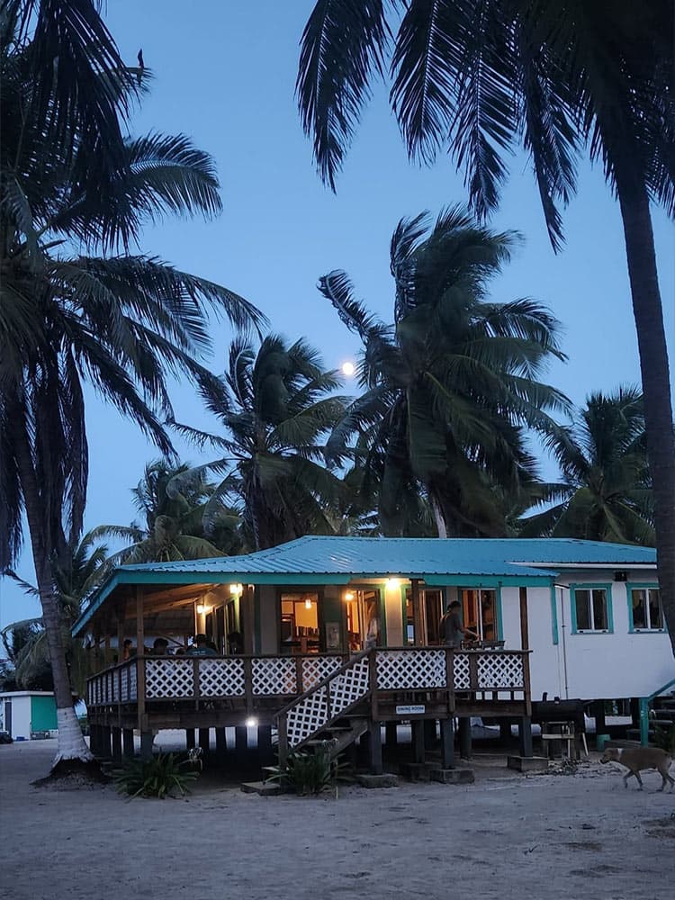 Cozy beachside restaurant surrounded by palm trees at dusk with a full moon visible.