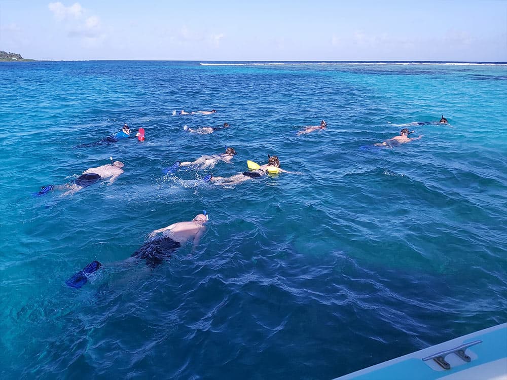 A group of snorkelers explore a vibrant blue ocean.