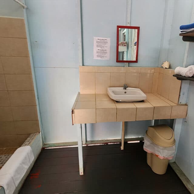 A small bathroom area featuring a sink, a mirror, a trash can, and a shower.