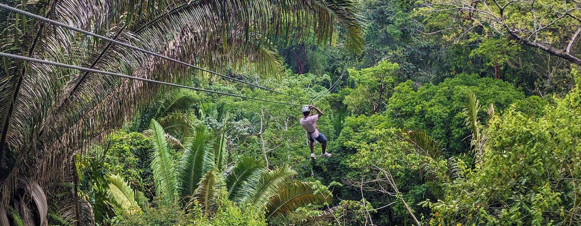 A person zip-lining through a lush green forest.
