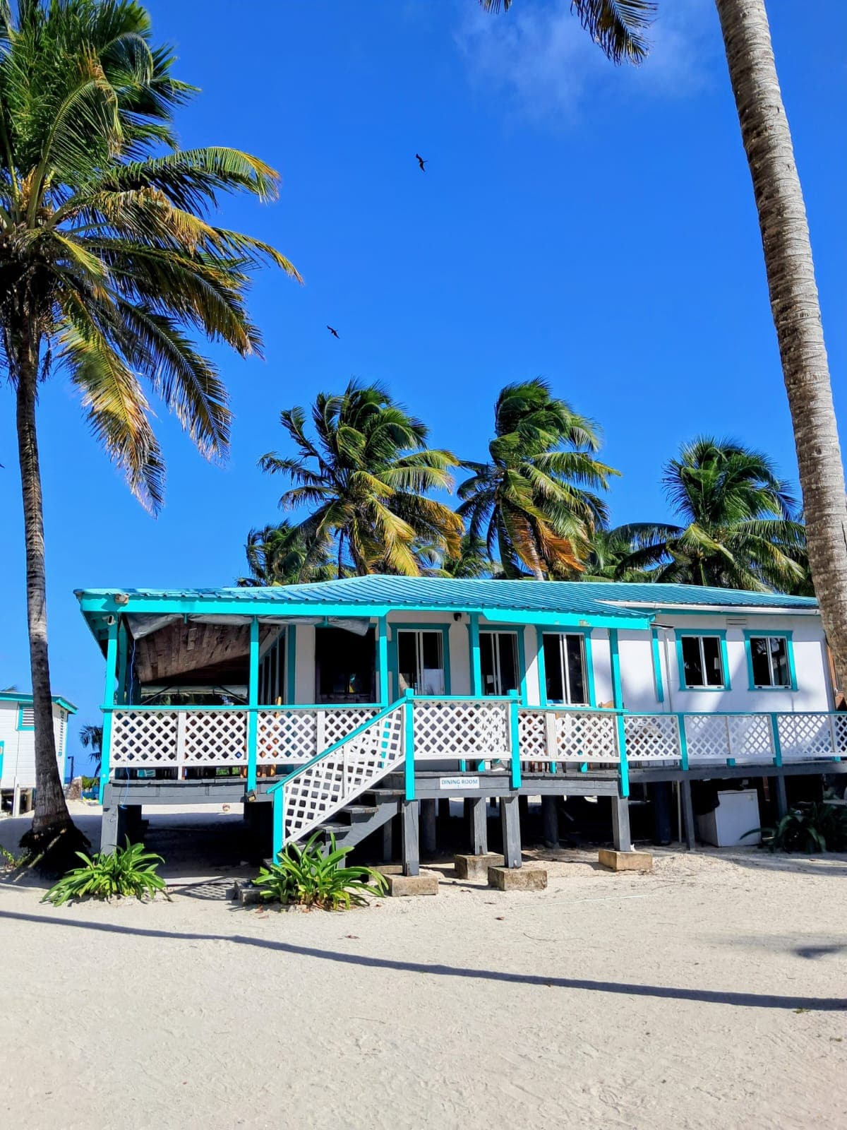 A tropical beach house with teal accents surrounded by palm trees and a clear blue sky.