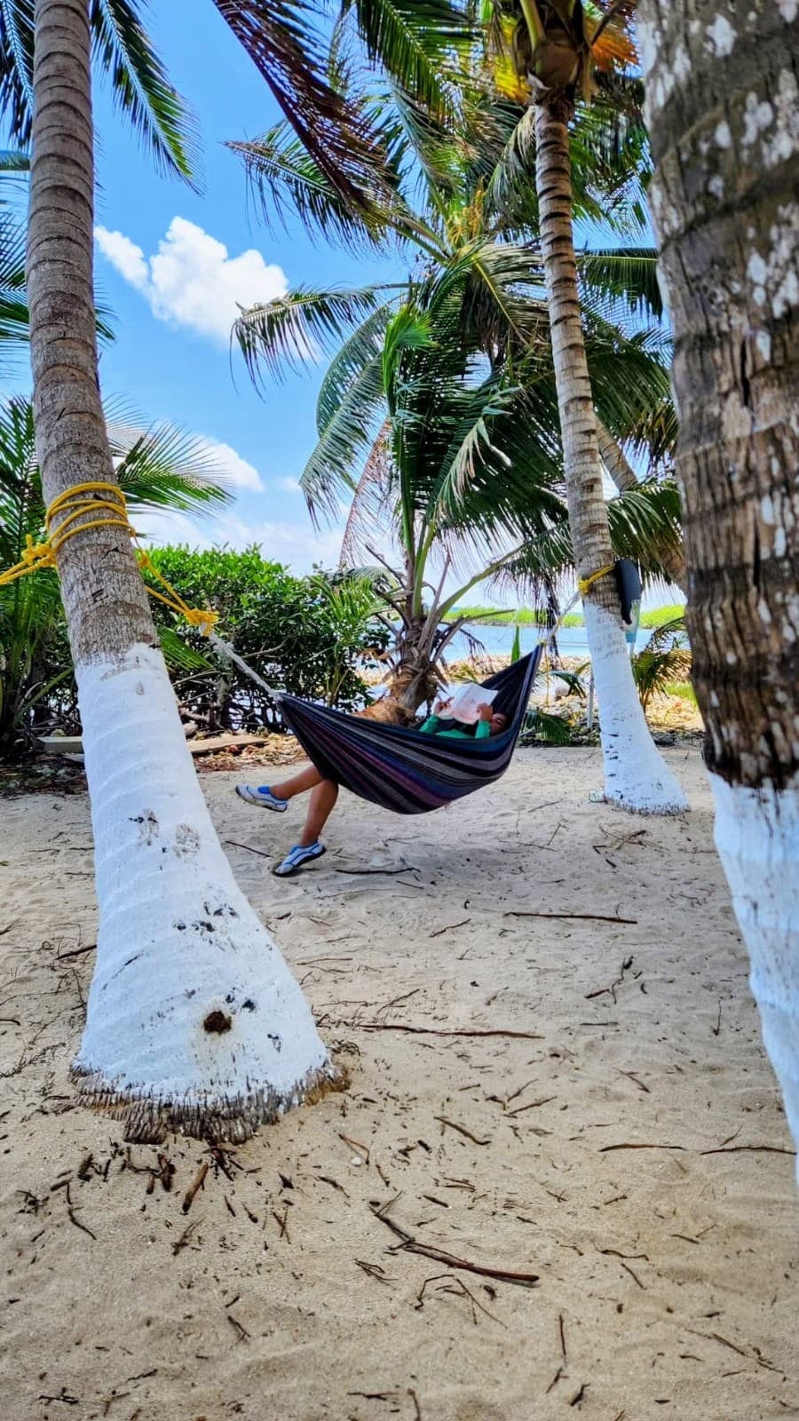 A person relaxes in a hammock between palm trees on a sandy beach.