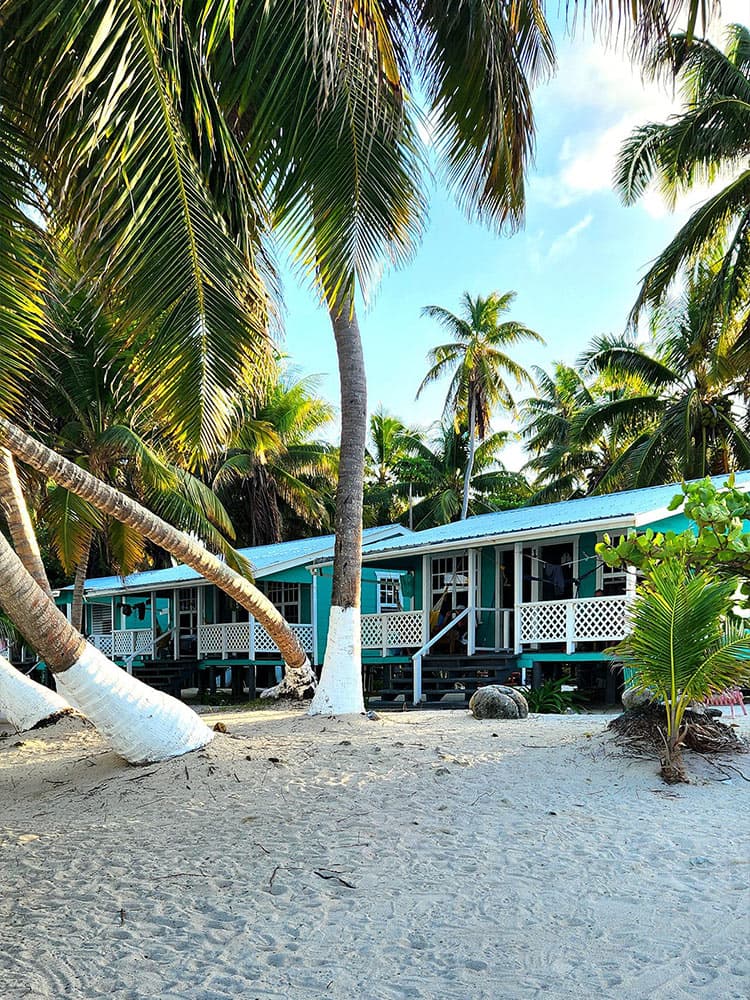 Tropical beach bungalows surrounded by palm trees.