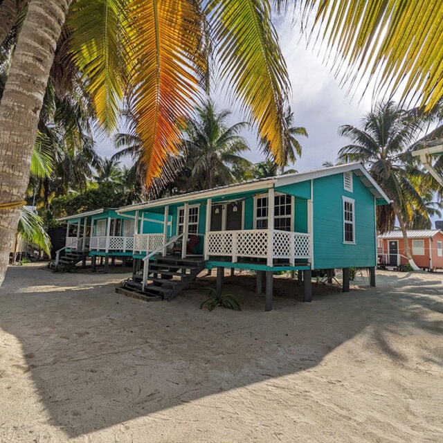 A row of colorful beach cabins surrounded by palm trees and sandy terrain.