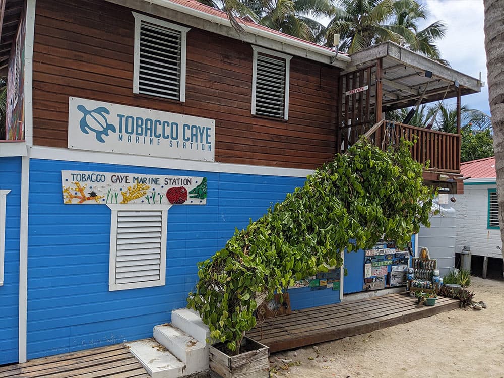Exterior view of the Tobacco Caye Marine Station building with a sign and tropical plants.