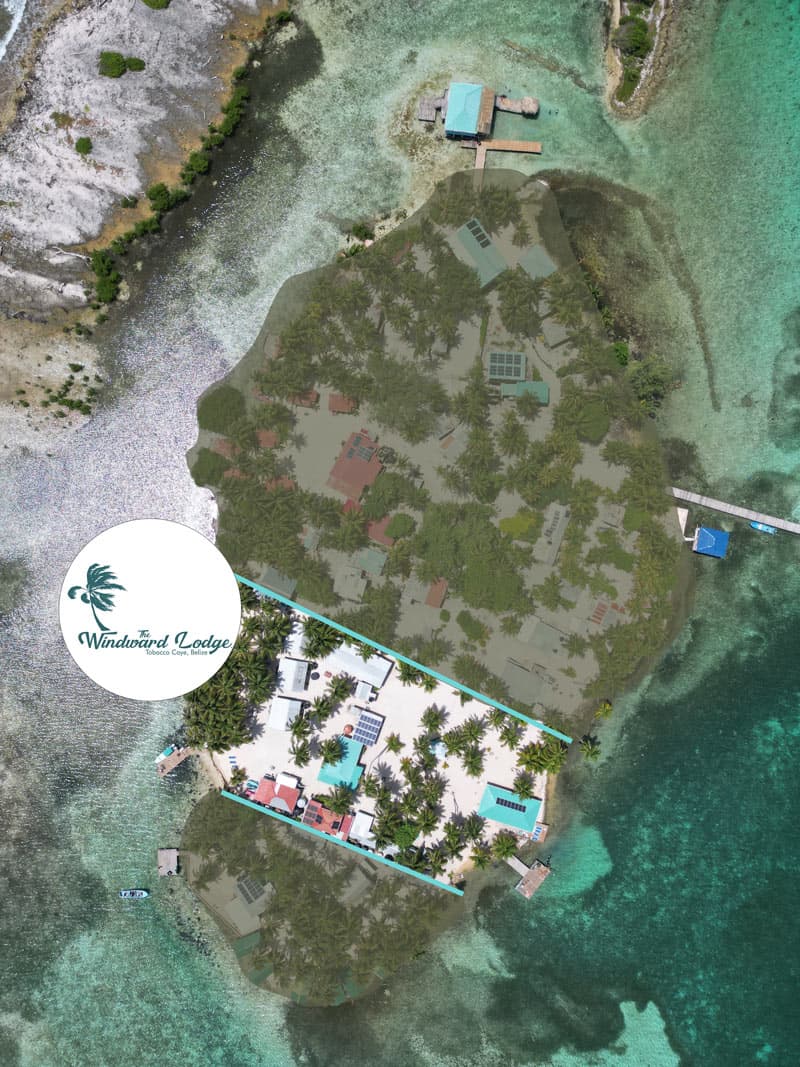 Aerial view of Windward Lodge surrounded by turquoise waters and greenery.