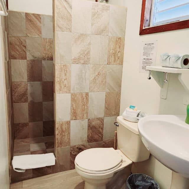 A small bathroom featuring a shower, toilet, sink, and toiletries on a shelf.