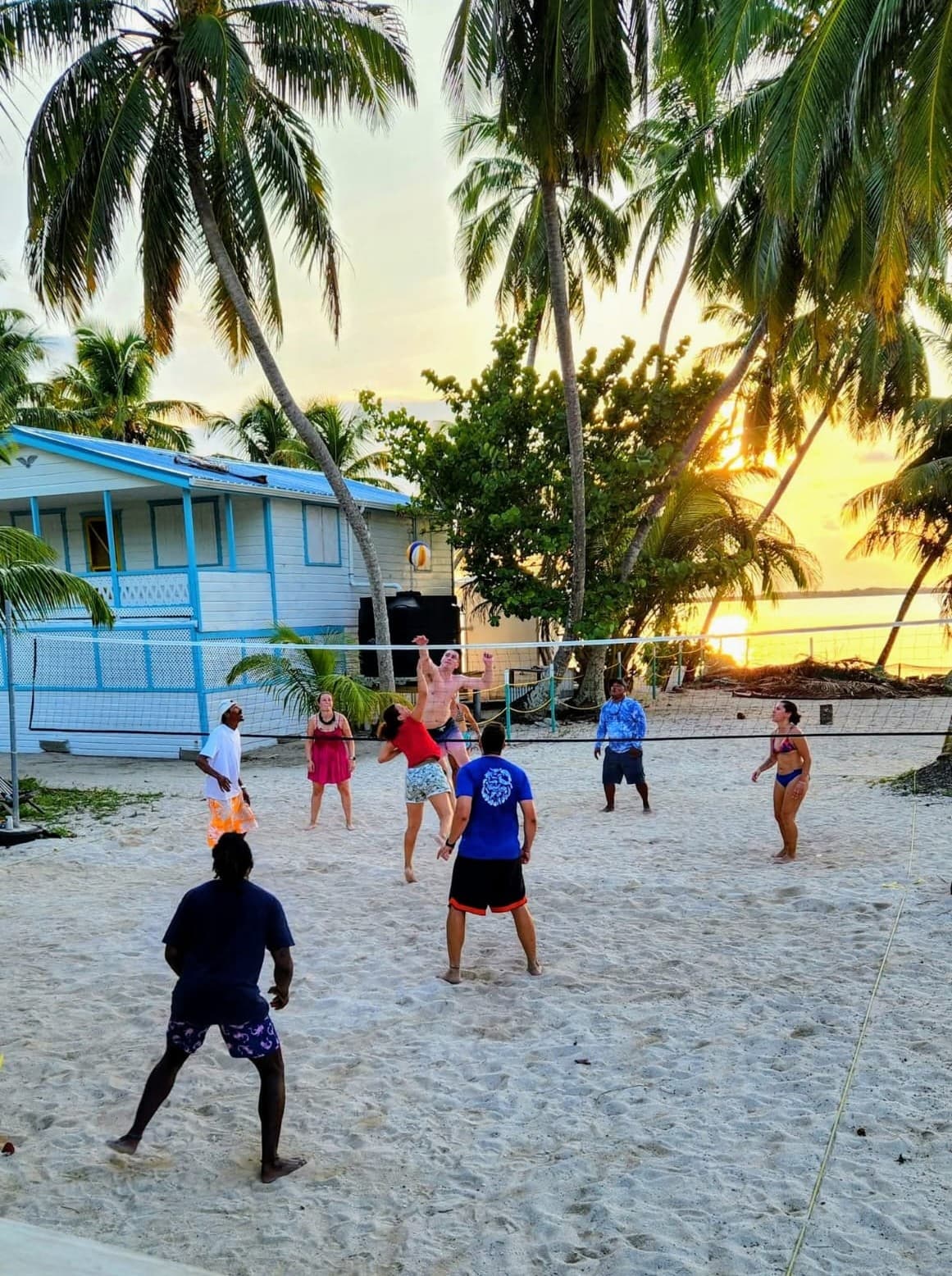 A group of people playing beach volleyball at sunset, surrounded by palm trees and a waterfront view.