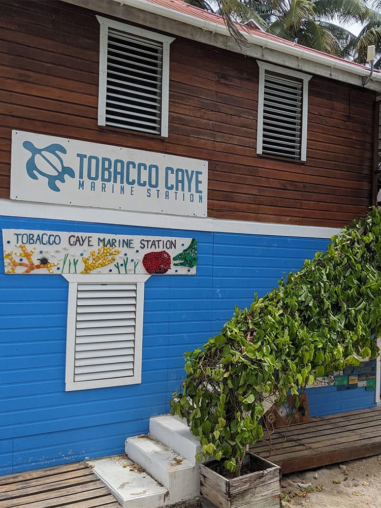 Sign for Tobacco Caye Marine Station on a wooden building with green foliage.