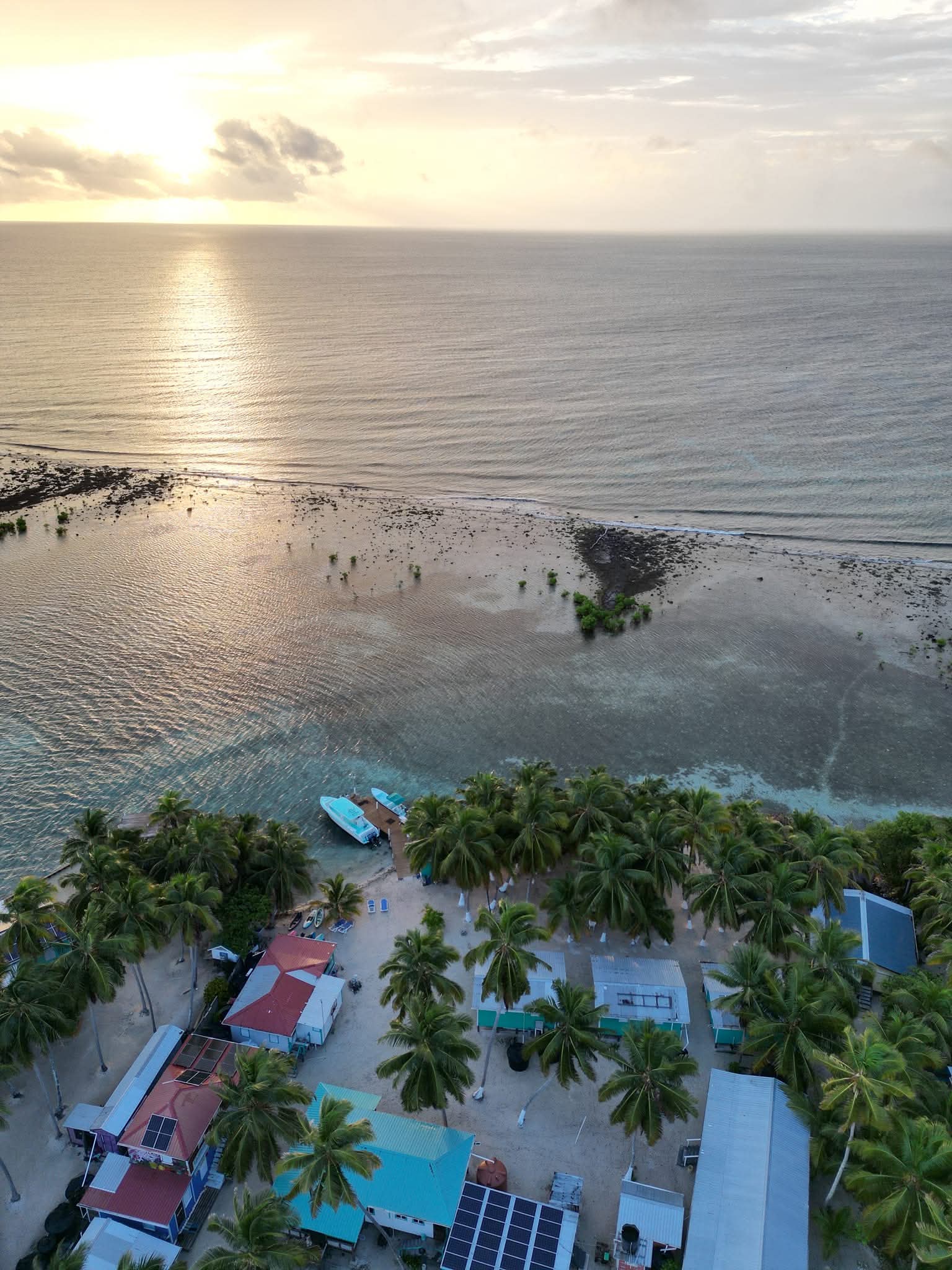 Aerial view of a tropical beach with palm trees and boats at sunset.