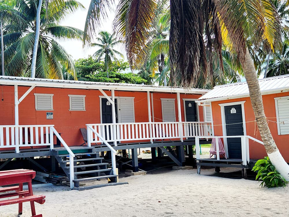 Two colorful beach cabins surrounded by palm trees and sandy ground.