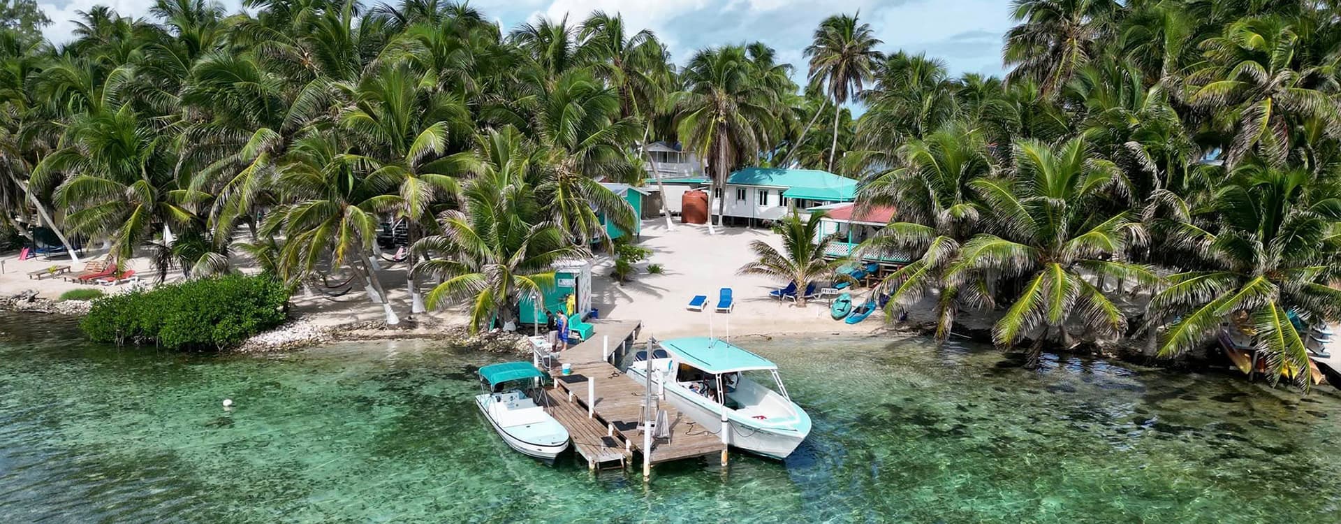 Aerial view of a tropical beach with palm trees, a dock, and boats.
