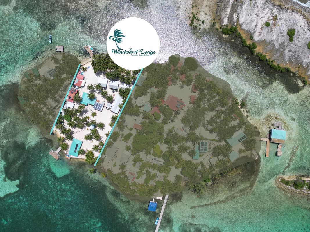 Aerial view of Windward Lodge, featuring lush greenery, swimming pools, and beach access.
