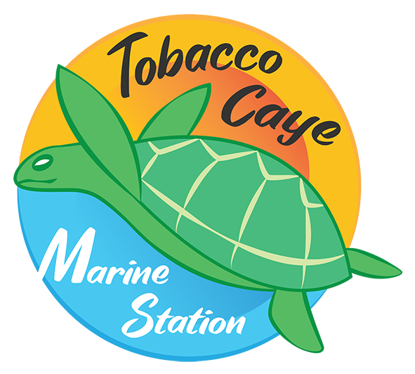 Tobacco Caye Marine Station Logo