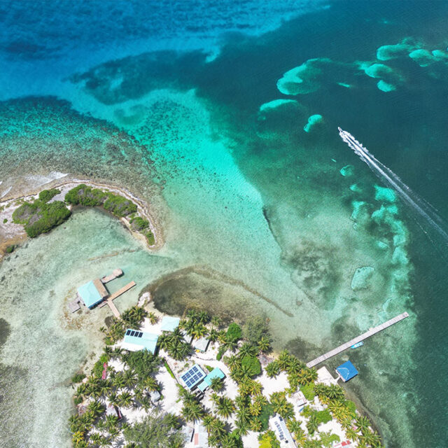 The Windward Lodge, Tobacco Caye Belize