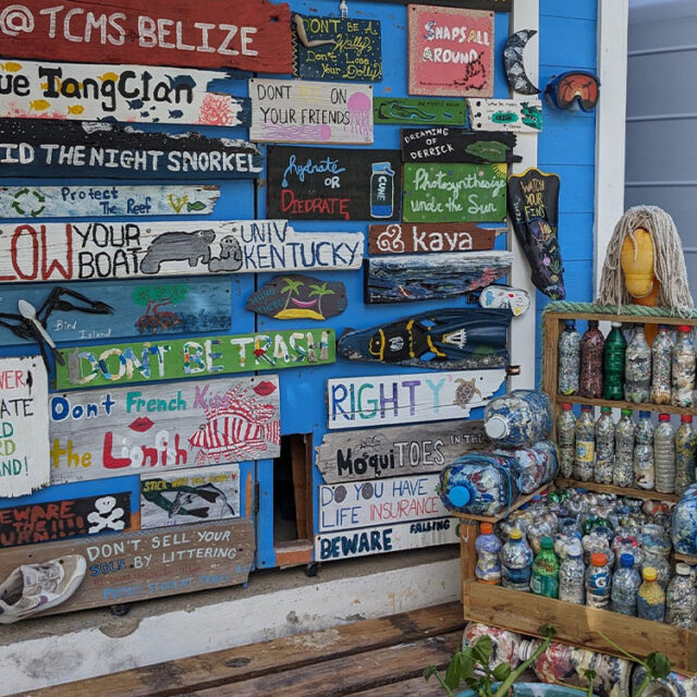 Tobacco Caye Marine Station