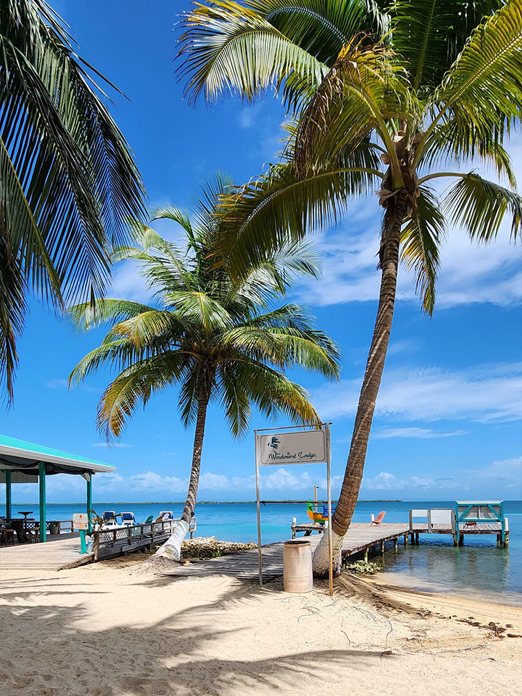 The Windward Lodge, Tobacco Caye Belize