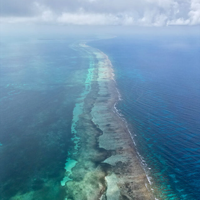 The Windward Lodge, Tobacco Caye Belize