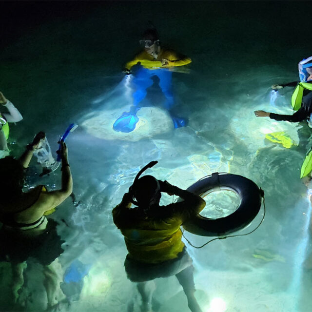 Belize Snorkeling Tours