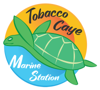 Tobacco Caye Marine Station Logo